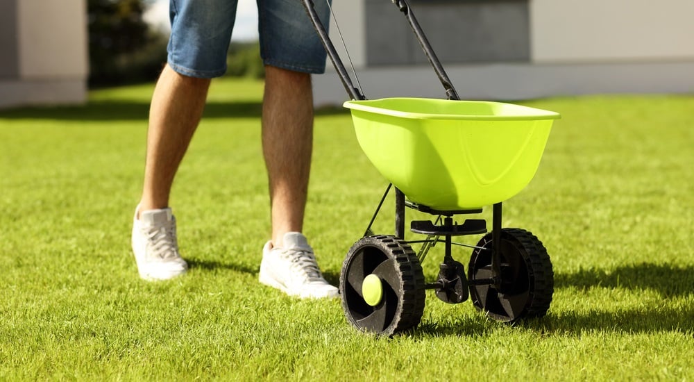 6-tips-for-spring-yard-prep-and-yard-waste-removal-1