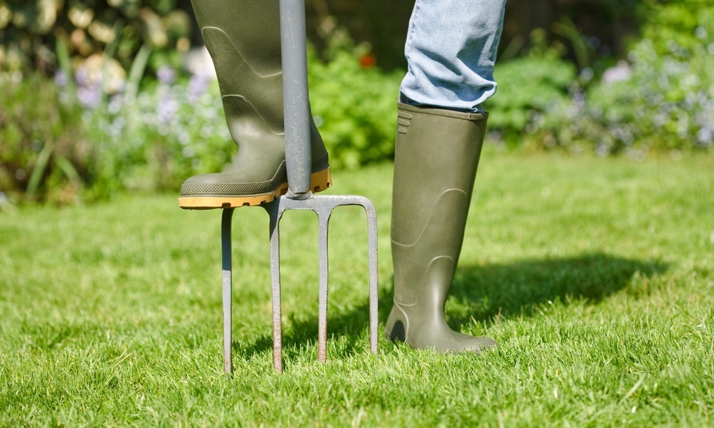 7-tips-for-a-great-summer-lawn