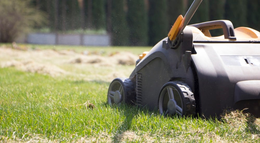 6-tips-for-spring-yard-prep-and-yard-waste-removal