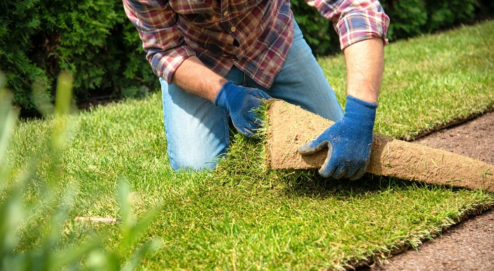 backyard-cleanup-and-improvement-tips-for-spring