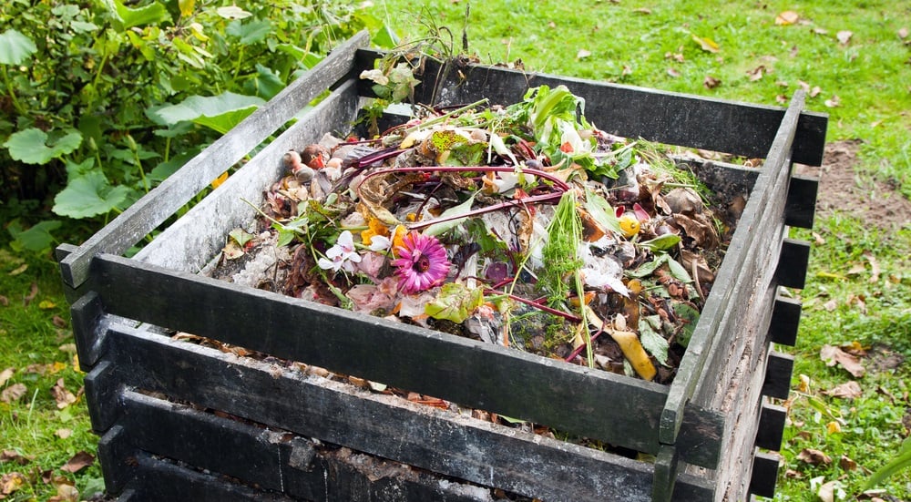 Yard Waste And Being Green With Composting
