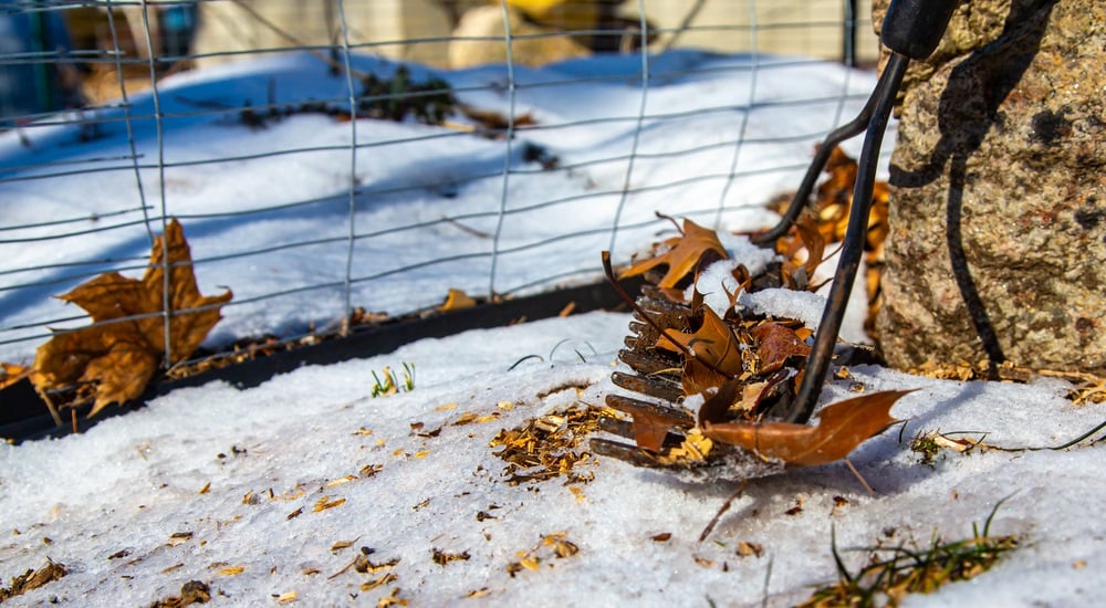 cleaning-up-your-outdoors-after-winter