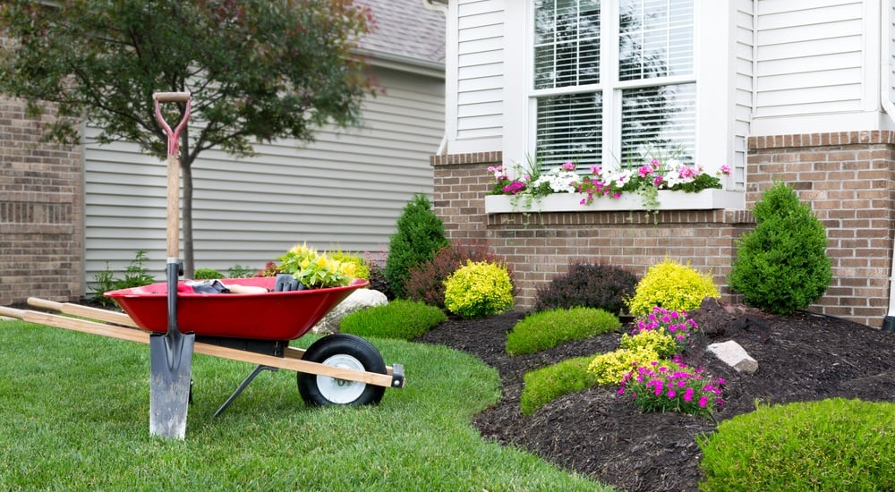 landscaping-projects-mean-yard-waste-and-debris-1