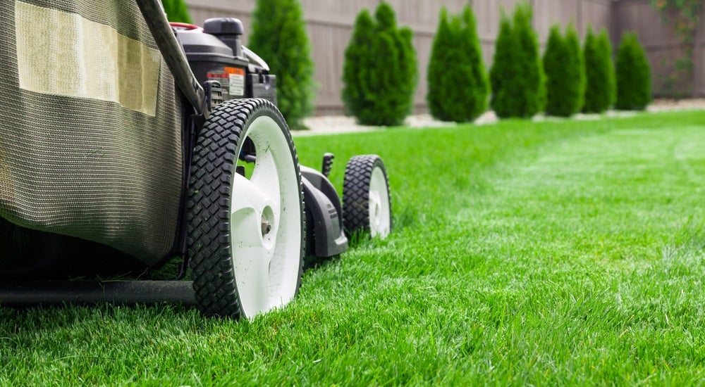 a-simple-spring-lawn-care-guide