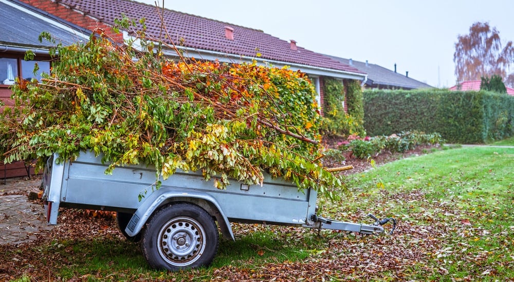 fall-landscaping-and-yard-waste-removal-1