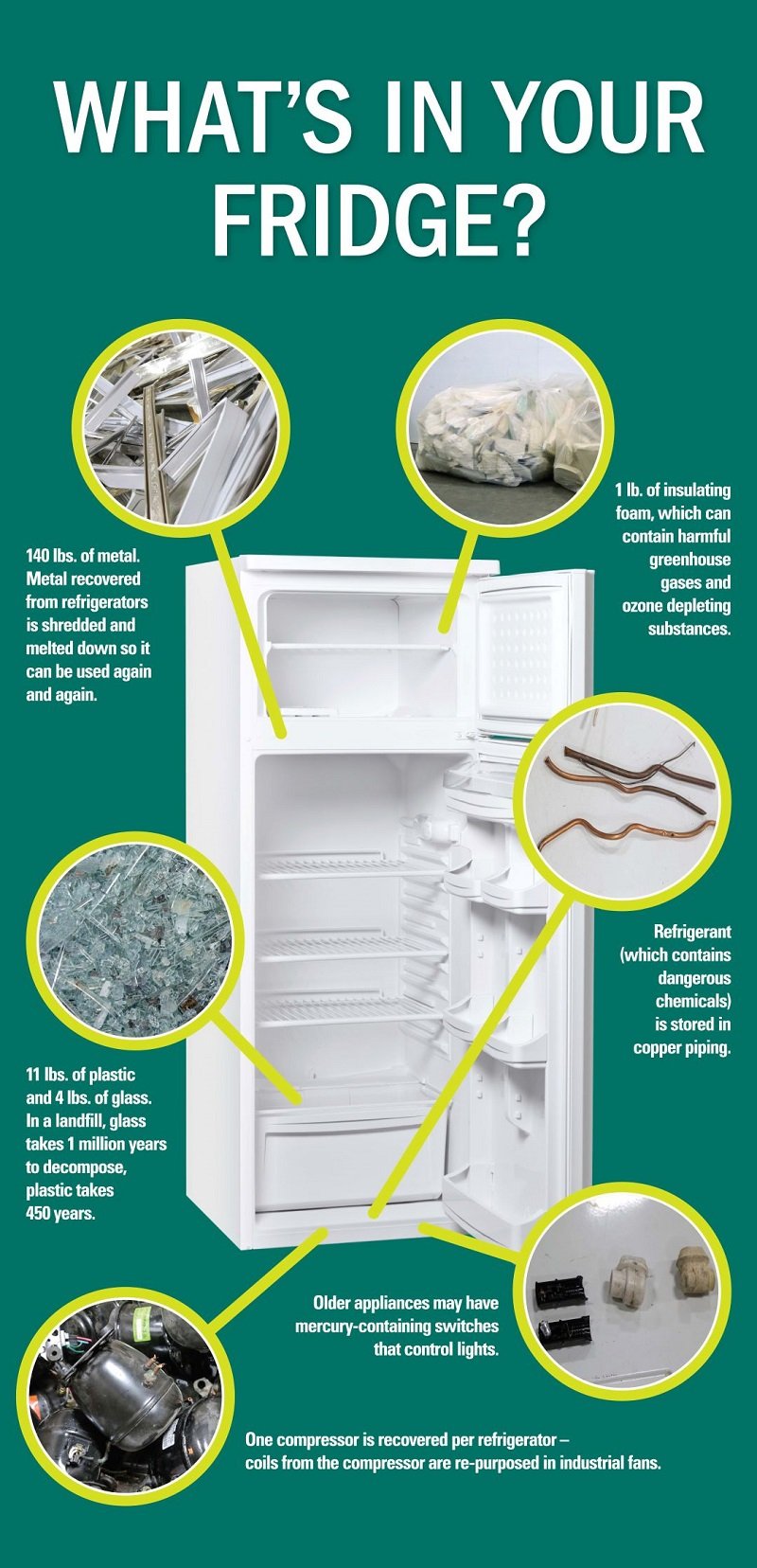 whats in your fridge graphic